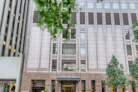 161 E Chicago Avenue 30D Chicago IL 60611