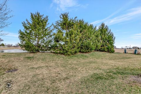 Tiny photo for 325 Hunters Drive, Beecher, IL 60401 (MLS # 12422153)