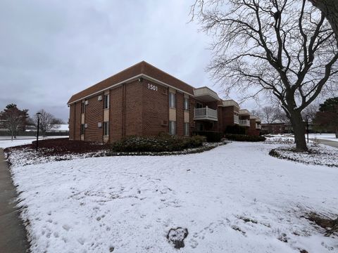 Tiny photo for 1501 E Churchill Drive #105, Palatine, IL 60074 (MLS # 12526653)