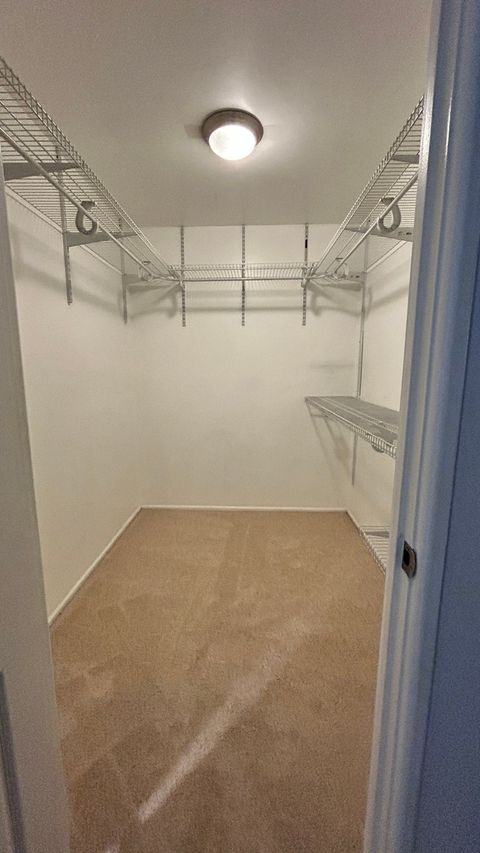 Tiny photo for 1501 E Churchill Drive #105, Palatine, IL 60074 (MLS # 12526653)