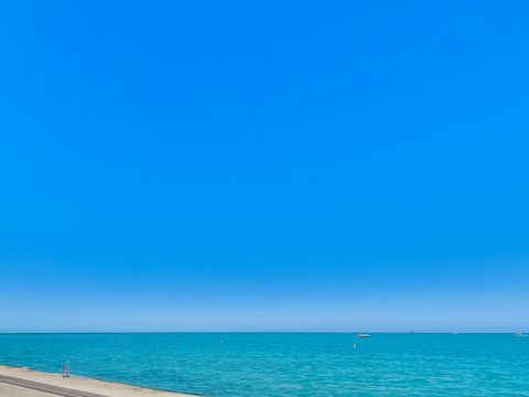 Tiny photo for Chicago, IL 60603 (MLS # 12630578)