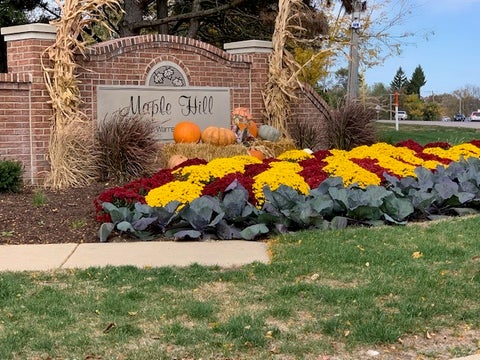 Tiny photo for 30W101 Willow Lane #B, Warrenville, IL 60555 (MLS # 12791576)