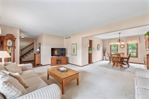 Tiny photo for 9160 Wheeler Drive, Orland Park, IL 60462 (MLS # 12590524)