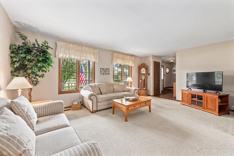 Tiny photo for 9160 Wheeler Drive, Orland Park, IL 60462 (MLS # 12590524)