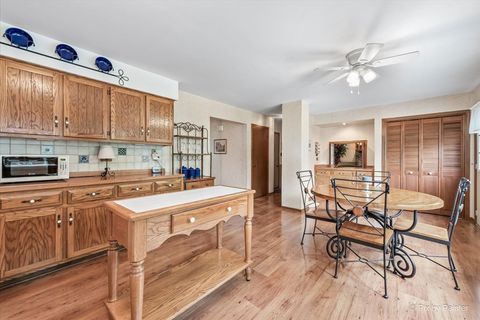 Tiny photo for 9160 Wheeler Drive, Orland Park, IL 60462 (MLS # 12590524)