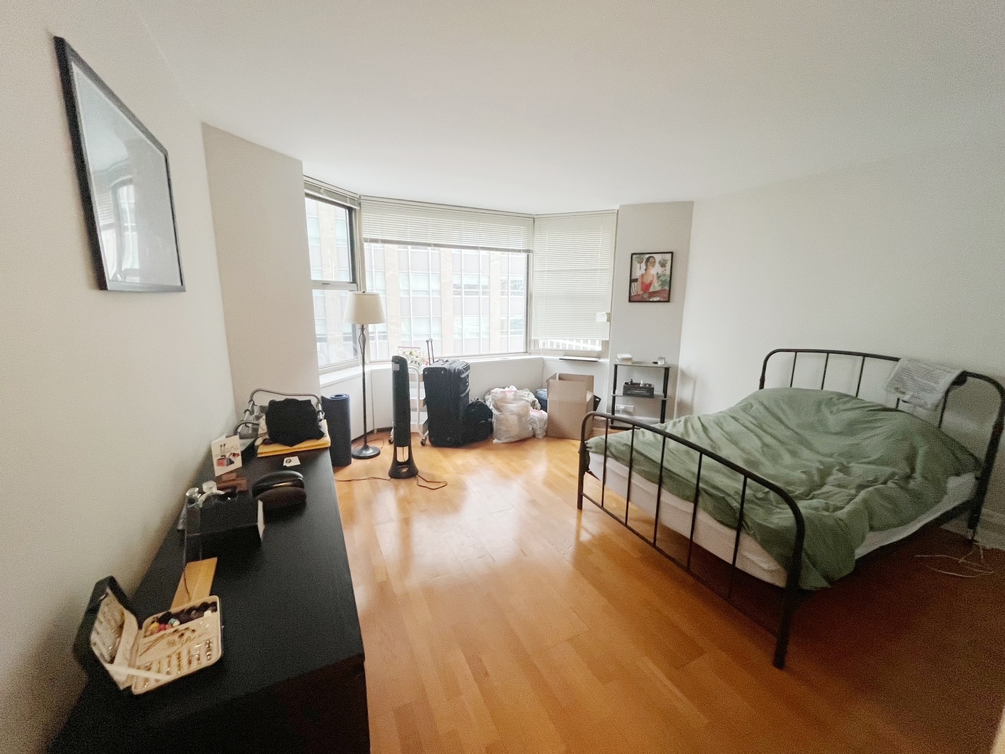 535 N Michigan Avenue 1403