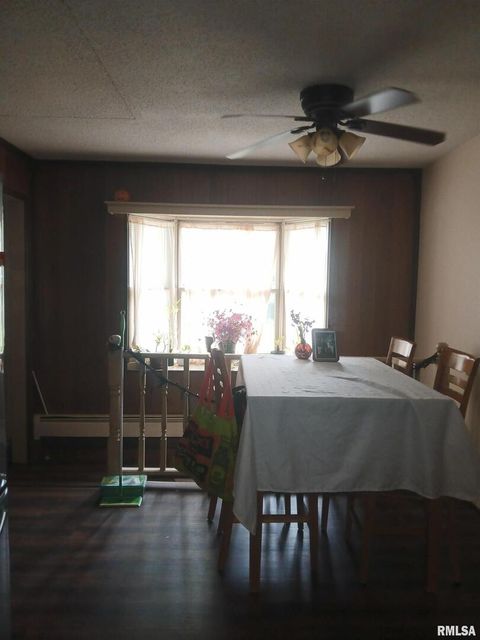 Tiny photo for 420 S 27TH Street, Herrin, IL 62948 (MLS # QC4268389)