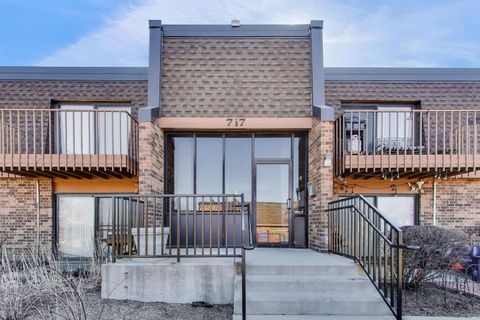 Photo of 717 Killarney Court #2D, Schaumburg, IL 60193 (MLS # 12586574)