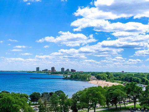 Tiny photo for 1755 E 55th Street #901, Chicago, IL 60615 (MLS # 12683472)