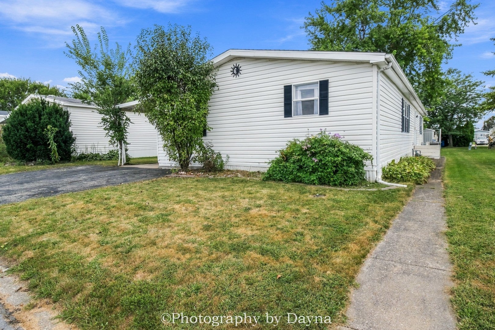 50 Cherry Lane