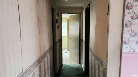 Tiny photo for 213 VIRGINIA Street, Cambria, IL 62915 (MLS # EB460657)