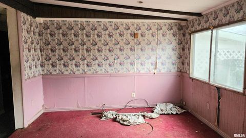 Tiny photo for 213 VIRGINIA Street, Cambria, IL 62915 (MLS # EB460657)