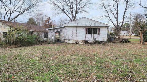 Tiny photo for 213 VIRGINIA Street, Cambria, IL 62915 (MLS # EB460657)