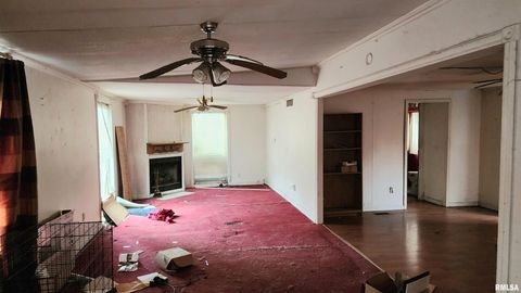 Tiny photo for 213 VIRGINIA Street, Cambria, IL 62915 (MLS # EB460657)