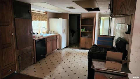 Tiny photo for 213 VIRGINIA Street, Cambria, IL 62915 (MLS # EB460657)