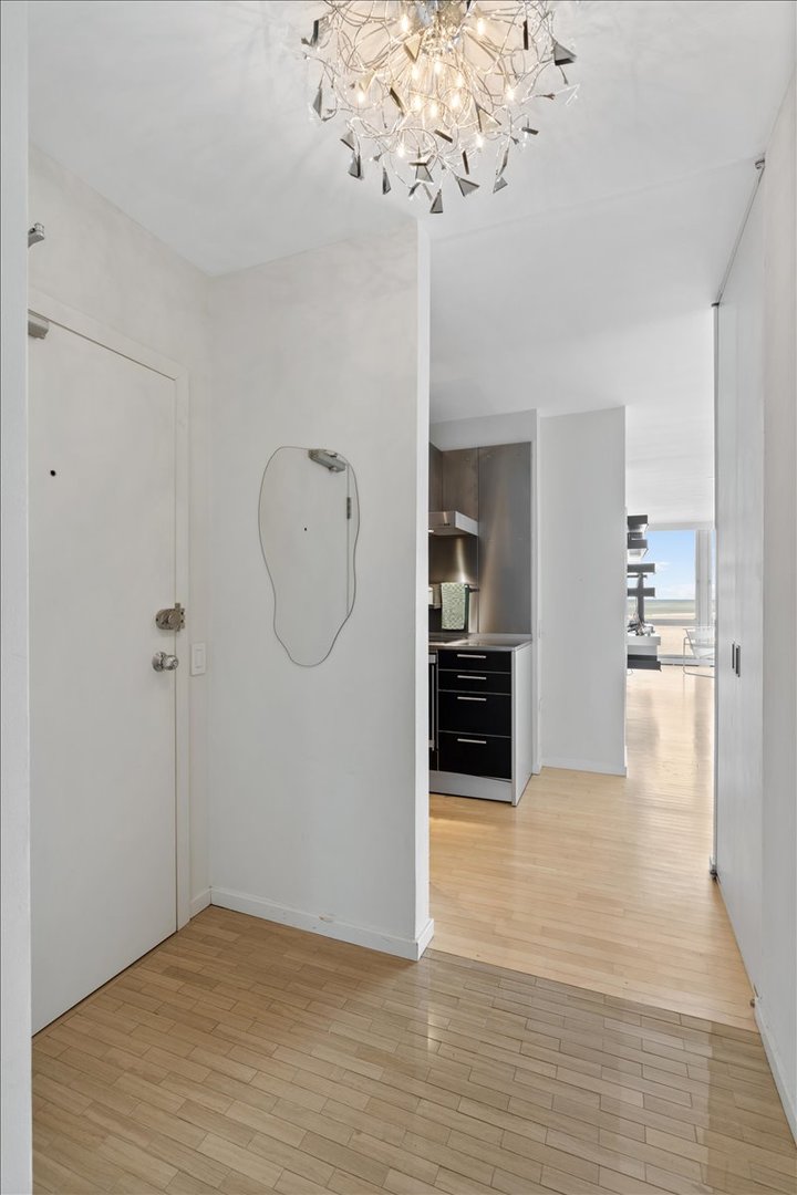 880 N LAKE SHORE Drive 16DH