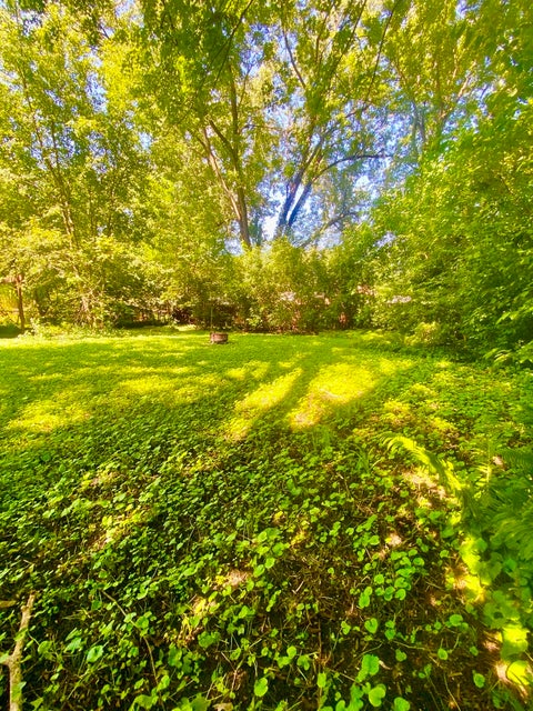 Tiny photo for 125 E Kimball Avenue, Woodstock, IL 60098 (MLS # 12760597)