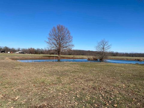 Tiny photo for 7038 Robin Roads, DuBois, IL 62831 (MLS # 100000475)