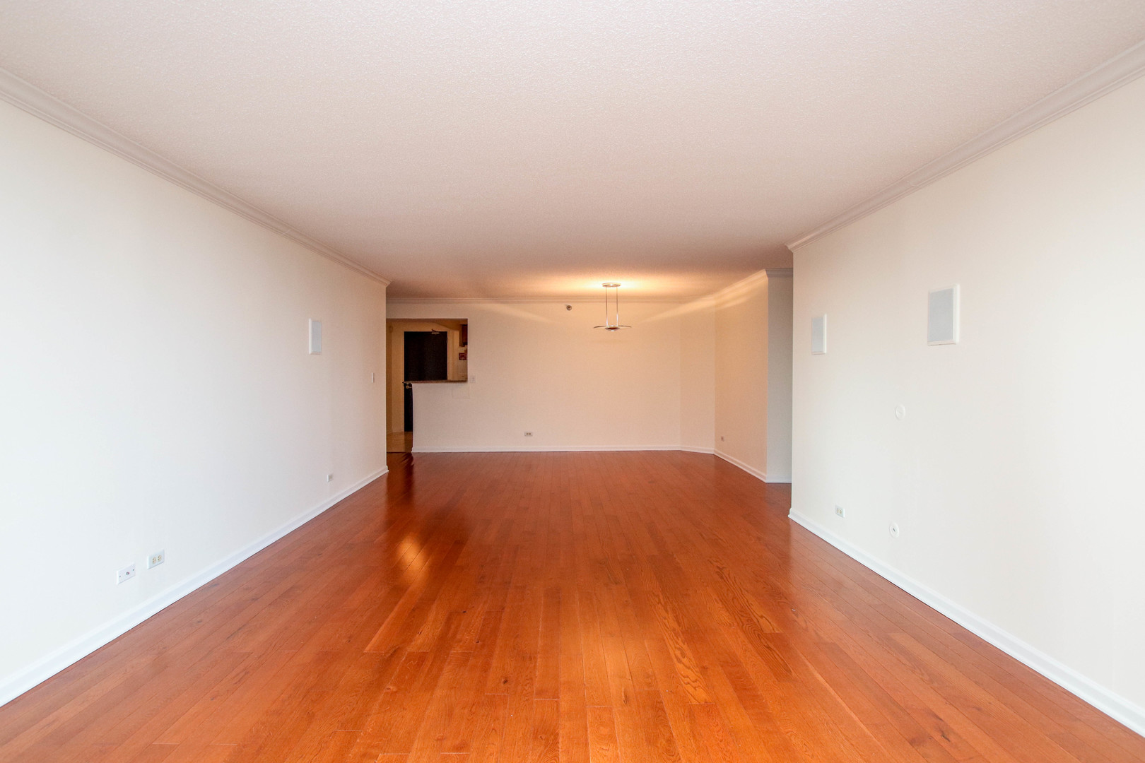 195 N Harbor Drive 505