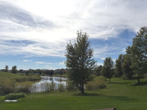 Tiny photo for 19339 Lisadell Drive, Tinley Park, IL 60487 (MLS # 12765948)
