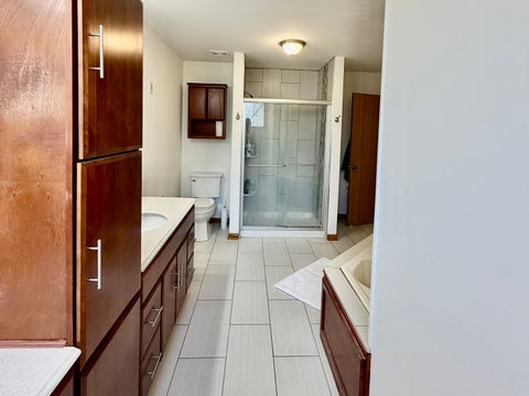 Tiny photo for 19339 Lisadell Drive, Tinley Park, IL 60487 (MLS # 12765948)