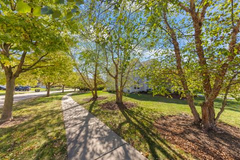 Tiny photo for 1 Firethorn Court, Bolingbrook, IL 60490 (MLS # 12522008)
