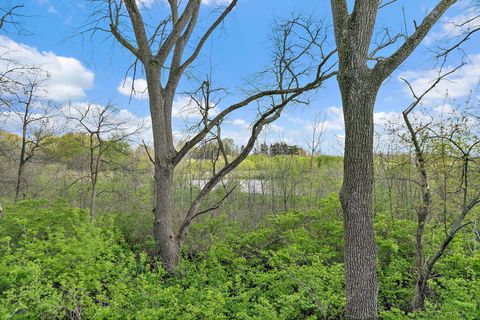 Tiny photo for 8113 Sierra Woods Lane, Carpentersville, IL 60110 (MLS # 12627795)