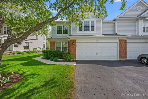 Photo of 2941 Clematis Drive, Schaumburg, IL 60193 (MLS # 12638038)