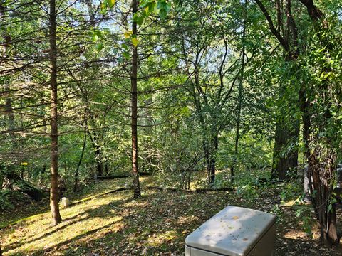 Tiny photo for 4N621 Pathfinder Drive, Elburn, IL 60119 (MLS # 12474179)