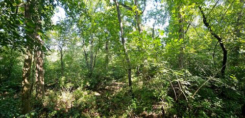 Tiny photo for 4N621 Pathfinder Drive, Elburn, IL 60119 (MLS # 12474179)