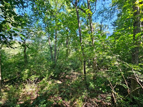 Tiny photo for 4N621 Pathfinder Drive, Elburn, IL 60119 (MLS # 12474179)