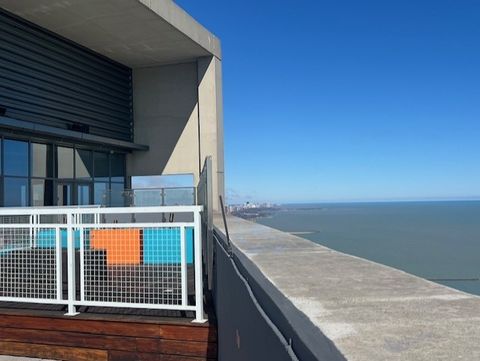 Tiny photo for 600 N Lake Shore Drive #914, Chicago, IL 60611 (MLS # 12558408)