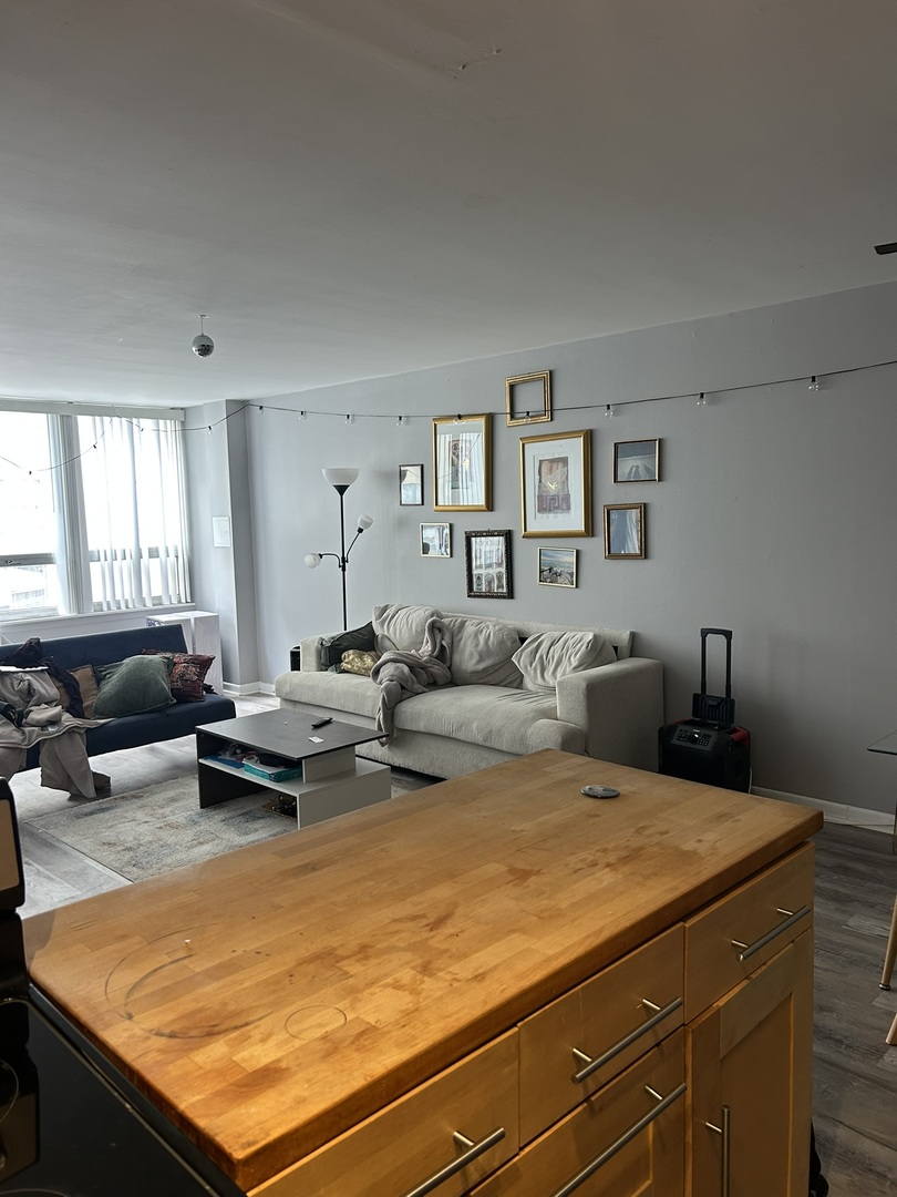 6171 N Sheridan Road 1506