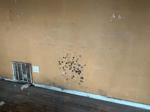 Tiny photo for 7450 S Colfax Avenue, Chicago, IL 60649 (MLS # 12499075)