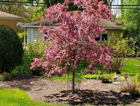 Tiny photo for 1715 Verde Court, Mount Prospect, IL 60056 (MLS # 12593497)