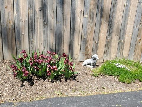 Tiny photo for 1715 Verde Court, Mount Prospect, IL 60056 (MLS # 12593497)