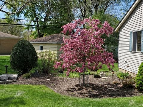 Tiny photo for 1715 Verde Court, Mount Prospect, IL 60056 (MLS # 12593497)