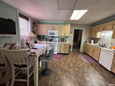 Tiny photo for 203 E 4TH Street, Brookport, IL 62910 (MLS # EB459743)