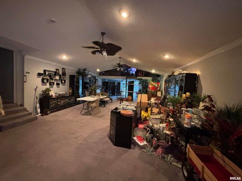 Tiny photo for 203 E 4TH Street, Brookport, IL 62910 (MLS # EB459743)