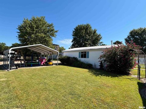 Tiny photo for 203 E 4TH Street, Brookport, IL 62910 (MLS # EB459743)