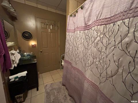 Tiny photo for 203 E 4TH Street, Brookport, IL 62910 (MLS # EB459743)