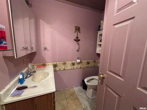 Tiny photo for 203 E 4TH Street, Brookport, IL 62910 (MLS # EB459743)