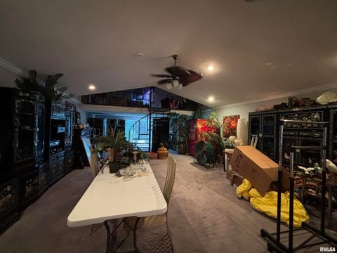 Tiny photo for 203 E 4TH Street, Brookport, IL 62910 (MLS # EB459743)