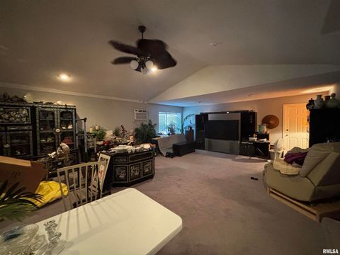 Tiny photo for 203 E 4TH Street, Brookport, IL 62910 (MLS # EB459743)