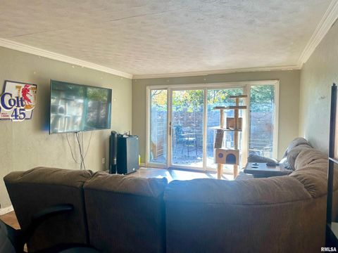 Tiny photo for 1212 W Schwartz Street, Carbondale, IL 62901 (MLS # EB460441)