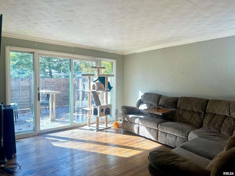 Tiny photo for 1212 W Schwartz Street, Carbondale, IL 62901 (MLS # EB460441)