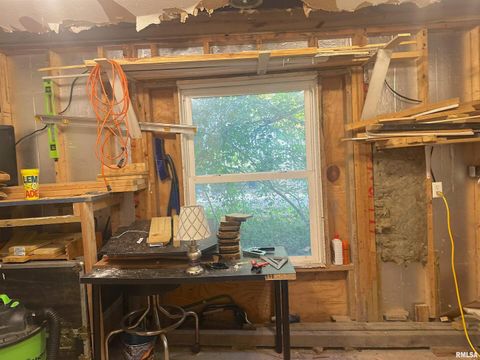 Tiny photo for 1212 W Schwartz Street, Carbondale, IL 62901 (MLS # EB460441)