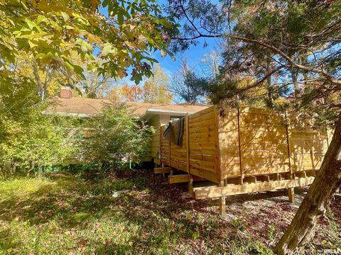 Tiny photo for 1212 W Schwartz Street, Carbondale, IL 62901 (MLS # EB460441)