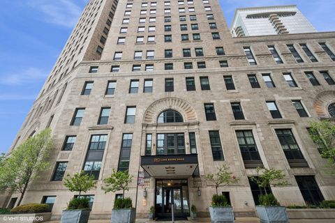 850 N Lake Shore Drive 704 Chicago IL 60611