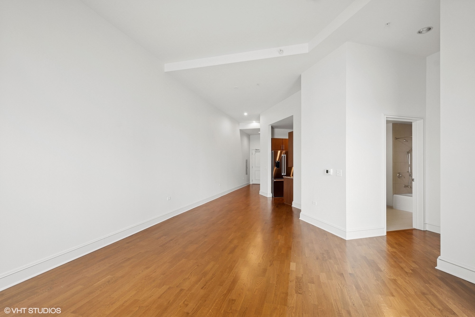 850 N Lake Shore Drive 704